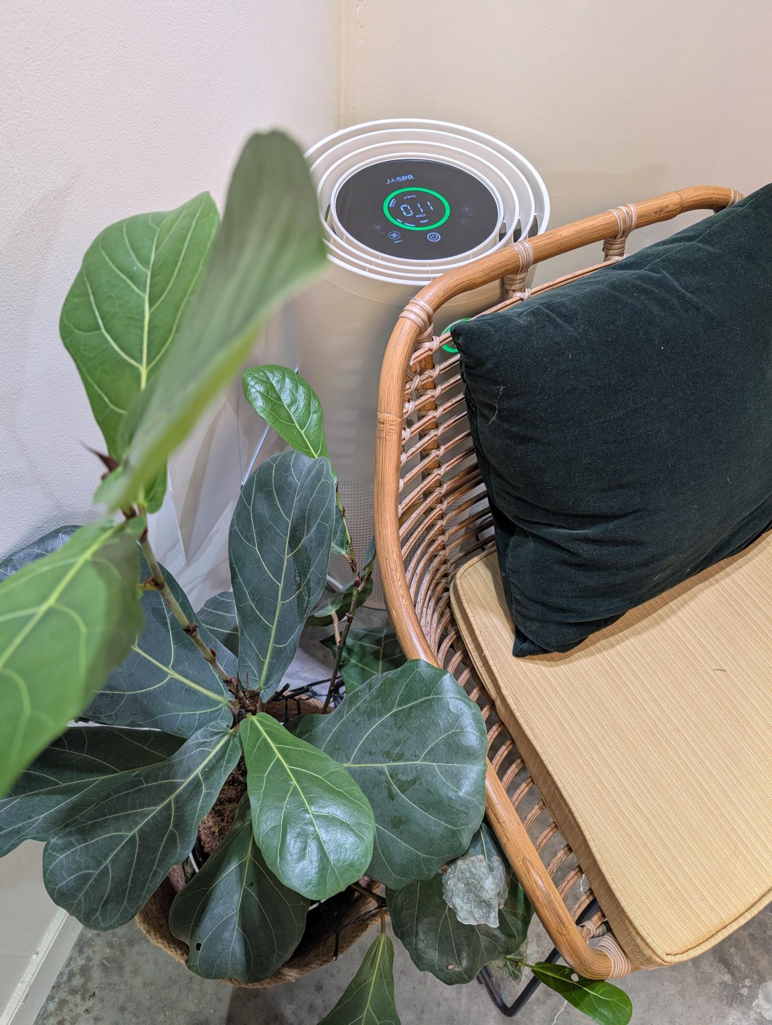 photo of a JASPR air purifier in corner of a store